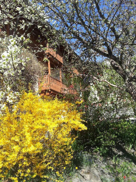 Chalet D'Heidi Bourg-Saint-Maurice Exterior foto